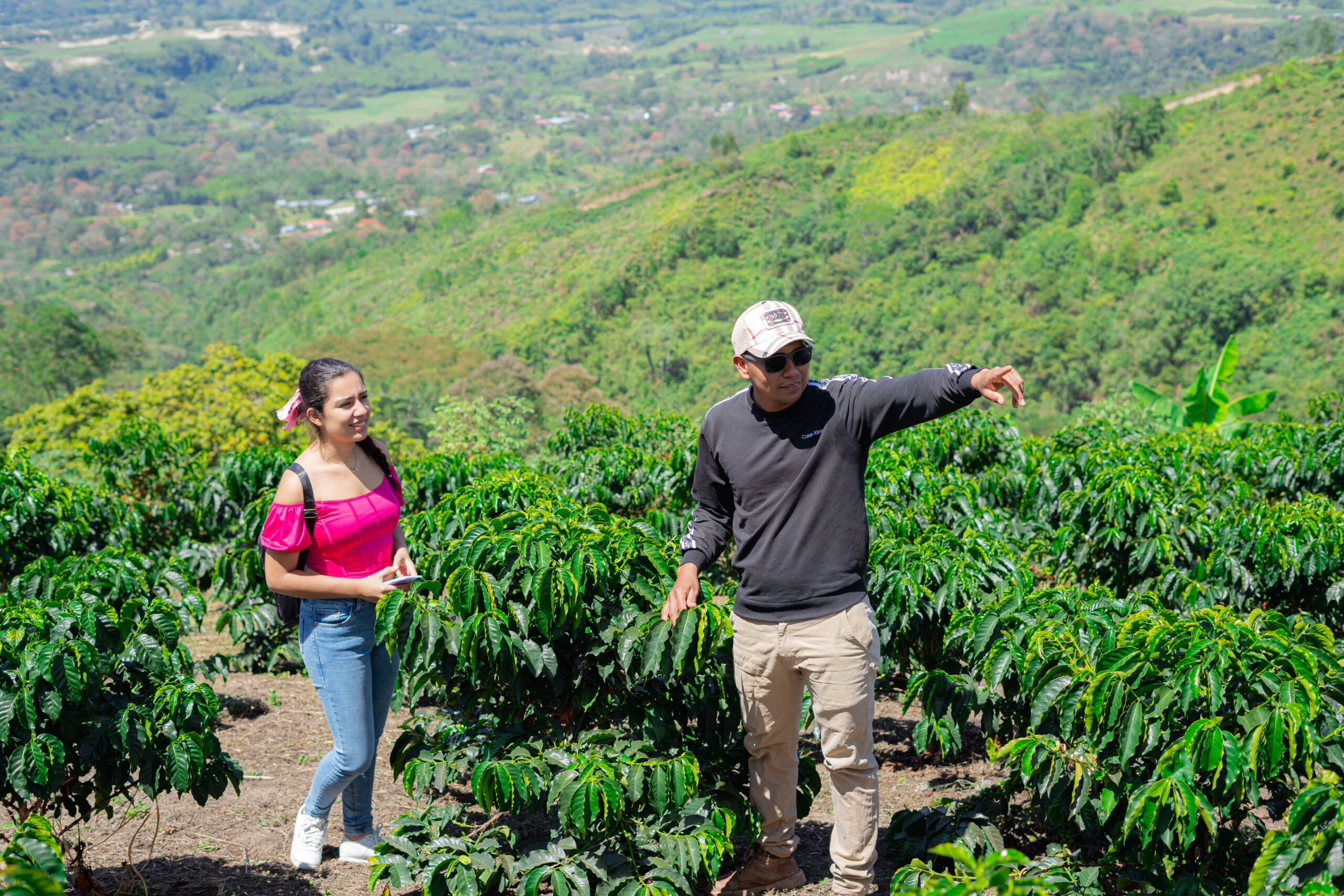 BLEND FINCA CAMINO DE SABORES